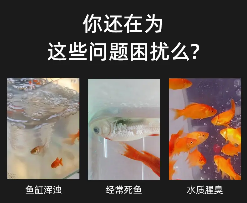生化棉_01.jpg