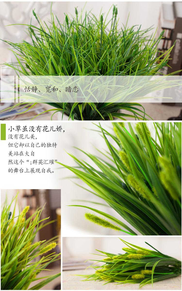 详情10.jpg