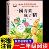 Um Jardim de Vegetais Verdes Se Tornou Espíritos Versão Pinyin Ma e o Cavalo Livro Ilustrado Primeira Série Leitura Extracurricular Leitura Obrigatória Puxando Rabanetes
