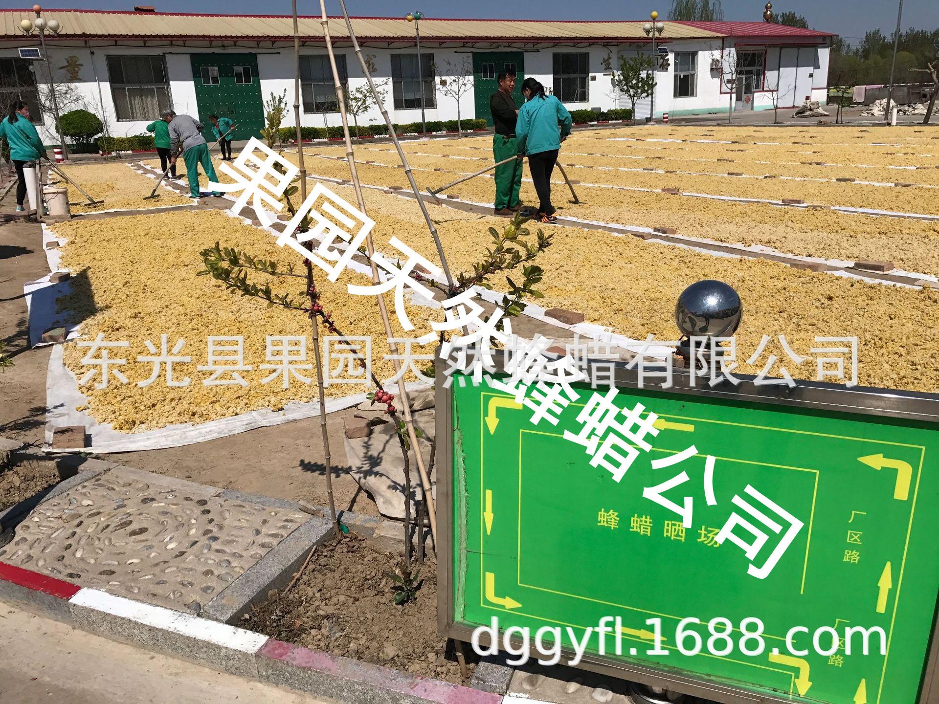 10986836156_1333741509_副本