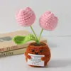 Flor de Tricô de Energia Positiva Transfronteiriça Planta em Vaso Produto Acabado Fio de Lã Flor de Simulação Ornamento de Mesa Boneca de Cartão de Mão