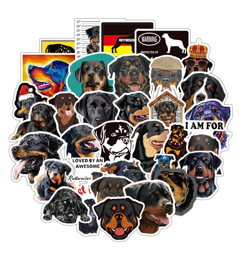 W-427罗威纳犬详情_02
