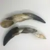 Trompete abaixo de 13 raspador de barril colher de chá raspador de fatias pente de chifre pente todos os tipos de produtos atacado direto