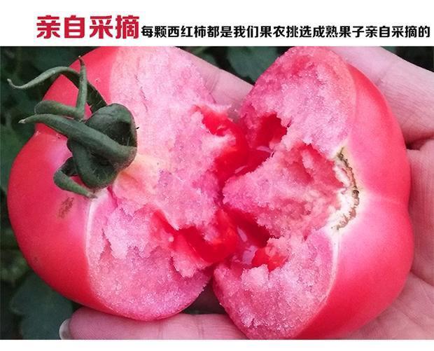 9322cd33-a443-4679-a9d3-d30068c32d0e.jpe