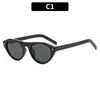 Gafas de Sol Retro Ovaladas Estilo Ojo de Gato Europeas y Americanas para Ocio al Aire Libre, Conducir, Deportes, Gafas de Sol de Moda Transfronterizas para Mujer