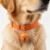 Venta al por mayor del fabricante Campanas Pequeñas de Colores Accesorios para Joyería DIY Materiales para Llaveros Colgantes Color Caramelo para Mascotas 22 mm