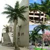 Árbol de coco artificial a gran escala, fibra de vidrio, resistente a los rayos UV, apto para uso en exteriores e interiores, ideal para hoteles, centros comerciales y diseño de paisajes tropicales