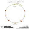 Pulsera y Collar de Acero de Titanio de Alta Gama con Forma de Calabaza Europeo y Americano, Joyería de Fortuna de Acero Inoxidable 18K de Nicho de Lujo Ligero al por Mayor