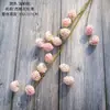 Signison Fabricante de Flores de Frutas Simuladas Flores Artificiales Plantas Verdes Venta al por Mayor Decoración de Bodas Estilo INS Artesanías Transfronterizas