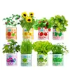 Plantas Verdes de Tomate en Maceta de Lata, Semillas para Cultivar, Decoraciones de Escritorio para Estudiantes de Primaria, Regalos de Plantación para Niños de Preescolar