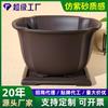 Vaso de Planta em Forma de Trevo Transfronteiriço Planta Suculenta Planta em Vaso Bonsai Vaso de Resina de Grande Diâmetro