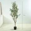 Amazon se especializa en Plantas Artificiales, Olivos, Plantas Grandes de Piso en Maceta, Plantas Verdes de Decoración de Interiores, Árboles Artificiales Desmontables