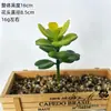 2026 Simulación de Suculentas Mini Adornos Combinación Decoración Exterior para el Hogar Plantas en Maceta Bonsái Suculentas Decoración al por Mayor