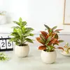Planta Verde Artificial em Vaso para Escritório, Decorações de Mesa Interna para Sala de Estar de Alto Padrão, Plantas e Flores Artificiais, Adereços para Fotografia