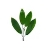 AliExpress superventas simulación verde multiestilo hoja ramo hecho a mano accesorios decorativos bonsái arreglo floral accesorios de hoja