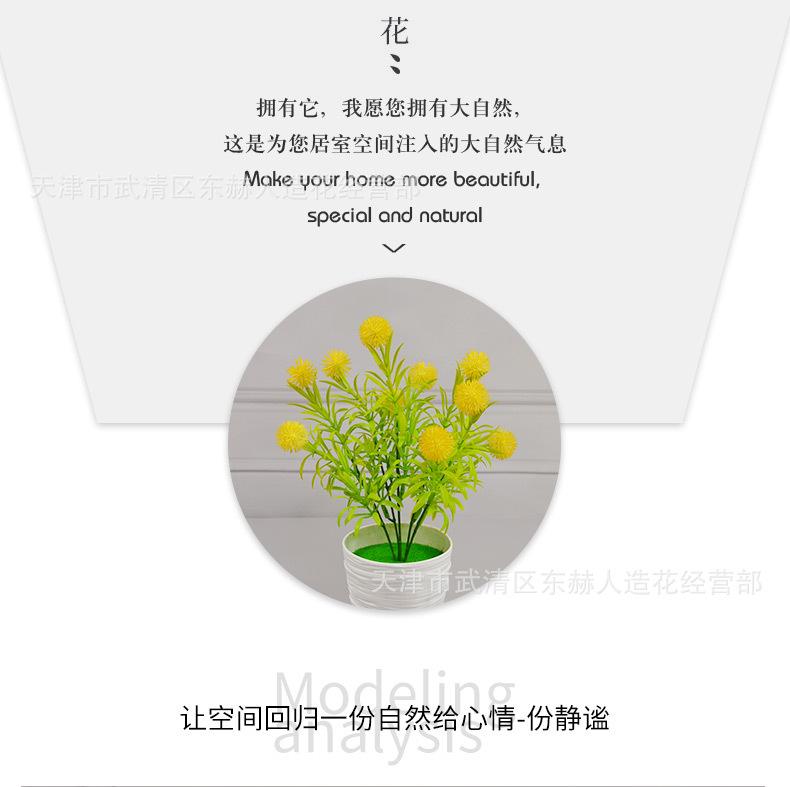 详情_03.jpg