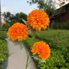 Crisântemo de outono de 3 cabeças para adereços florais de casamento, decoração de salão de casamento, arranjo de flores, popular mar de flores em cascata, paisagismo externo