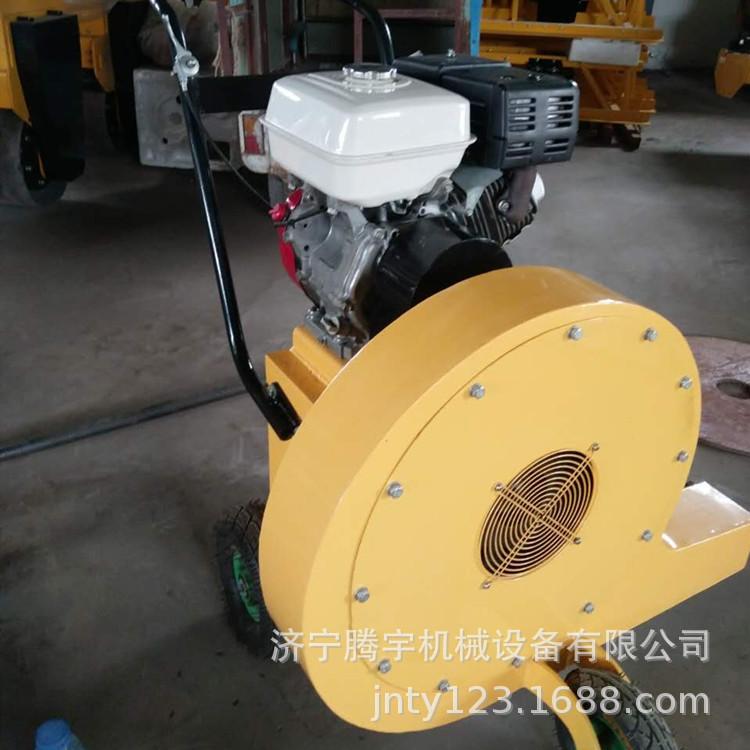 手推式汽油吹风机3