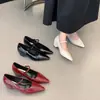 Elegante Mary Jane de una tira con tacón grueso estilo francés para mujer Moda 2026 Punta fina Tacones altos poco profundos para el trabajo