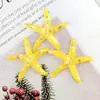 Capa de Celular Grampo Estrela do Mar Oceano DIY Materiais para Tamanco Acessórios de Cabelo Acessórios de Resina Cola em Creme Materiais de Adesivo