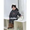 Sudadera con Capucha para Bebés y Niños Pequeños, Estilo Coreano Gris Moda Linda Gatito Sudadera Vestido, Ropa con Capucha para Salir de Bebé Niña