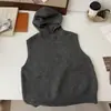 Chaleco Casual de Color Puro a la Moda con Capucha Tejido de Punto para Mujer 2025 Otoño e Invierno Nuevo Suéter Suave Ceroso Tejido de Punto en Capas Transfronterizo