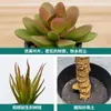 Planta suculenta de simulação em vaso personalidade simples decoração de casa em vaso decoração de interior imitação de bonsai realmente uma geração de cabelo