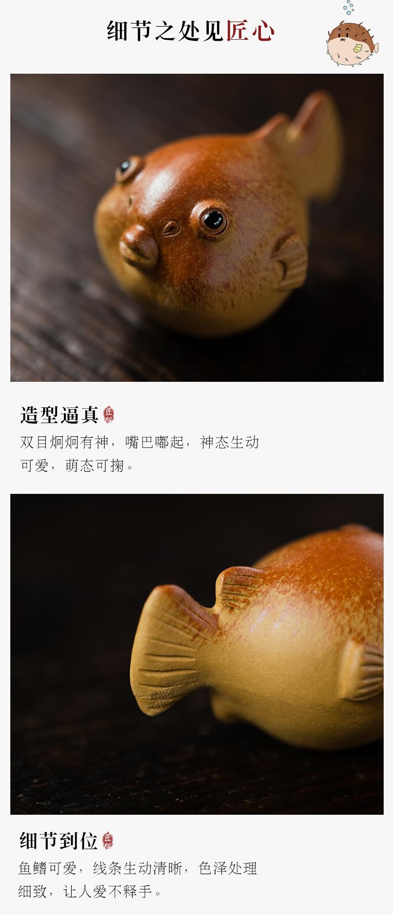 小河豚20210616 (17).jpg