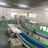 Máquina Embaladora Automática Completa para Caixas de Lâmpadas com Revestimento, Fornecimento de Fábrica