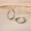 Pendientes de Otoño e Invierno 2024 Moda Elegantes Estéreo de Gama Alta Hebilla de Oreja Hilo Retorcido Anillo Liso Acero de Titanio Femenino con Estilo
