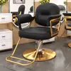 Silla de Barbería de Acero Inoxidable, Elegante y Giratoria, Silla de Corte de Pelo Ajustable en Altura, Especializada para Salones de Peluquería, Taburete para Permanente y Tinte de Peluquería