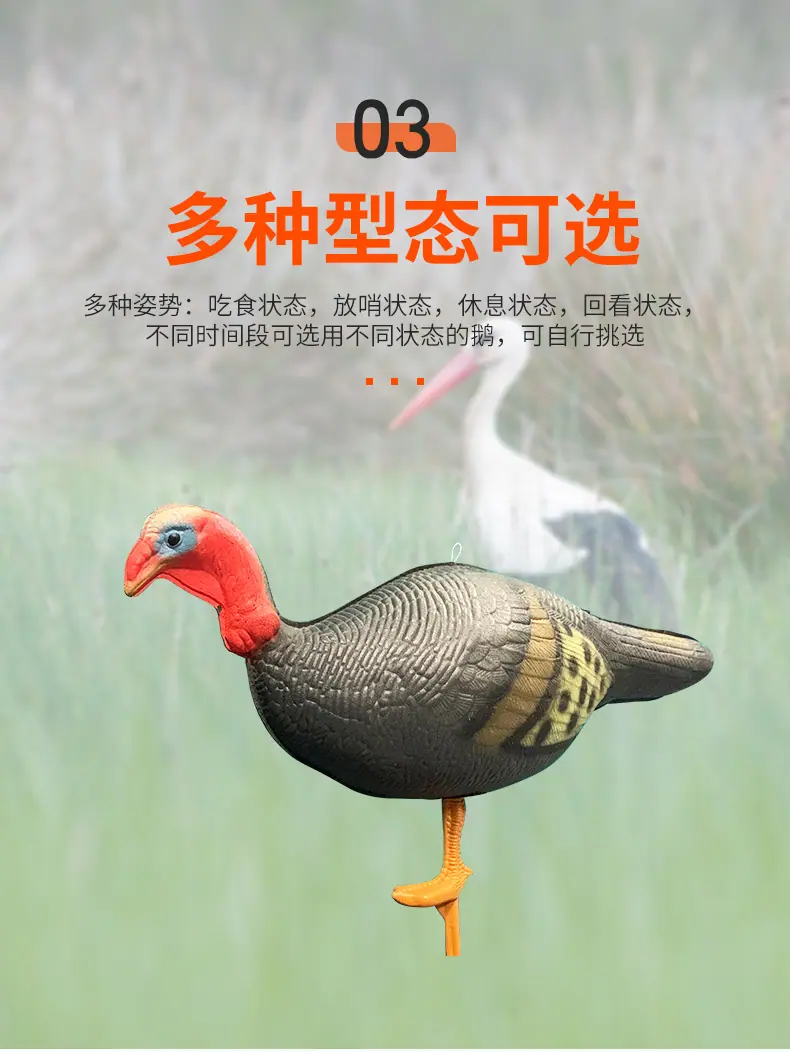 详情页_09.jpg