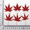 Folha de Bordo Vermelha Flor Seca Planta Embossada Espécime Cola para Ensino Capa de Celular Marcador de Página Artesanal Infantil Porta-Retrato Adesivo Embossado
