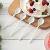 Colher ecológica descartável de plástico para bolo de aniversário, confeitaria, cozimento, sobremesa espessada, iogurte, pudim