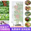 Cubierta de Tomate Transfronteriza de Gran Venta, Cubierta de Red Gruesa a Prueba de Insectos para Plantas con Cremallera, Cubierta Protectora de Tomate Tridimensional Engrosada de 60 Mallas