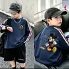 Camiseta de manga larga para niño de primavera y otoño, nuevo modelo 2026, atuendo de otoño para niño grande, camiseta básica de otoño para niño, top infantil elegante