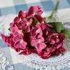 Flor Artificial Flor de Manzano Flor Falsa Flor de Begonia Begonia Pequeña Flor de Seda Hortensia de 5 Pétalos Ramo de Mesa Modelo Más Vendido Transfronterizo