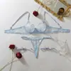 Amazon Transfronteiriça Exquisite Decoração de Borboleta Tridimensional Bordado Pesado Bordado Transparente Modelagem Corporal Lingerie Sexy Conjunto Separado