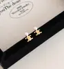 Brincos Retro de Pérola e Diamante Arco do Triunfo Tendência 2025 para Mulheres Exquisitos Acessíveis Luxo Simples de Ponta Nicho