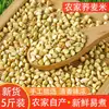 Novo arroz de trigo sarraceno, arroz triangular para mingau e arroz cozido no vapor, grãos de trigo sarraceno do Nordeste produzidos na fazenda, grãos mistos, arroz de trigo sarraceno 2,5 kg