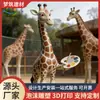 Escultura de jirafa impresa en 3D, decoración de paisaje del mundo animal, adorno de pie para parque exterior, modelo personalizado