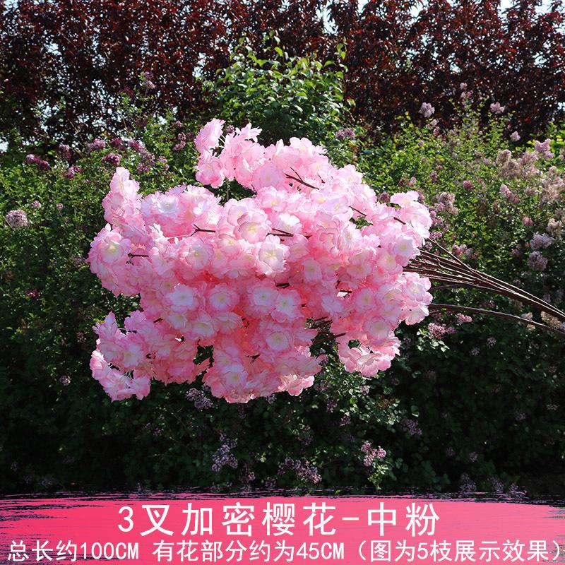 中粉