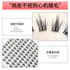 Abanico de Plumas Estrella Gemela Pestañas Postizas Auto-injerto Pestañas Segmentadas Perezosa Tres Pasos Natural Principiante Estilo Coreano Grupo de Chicas
