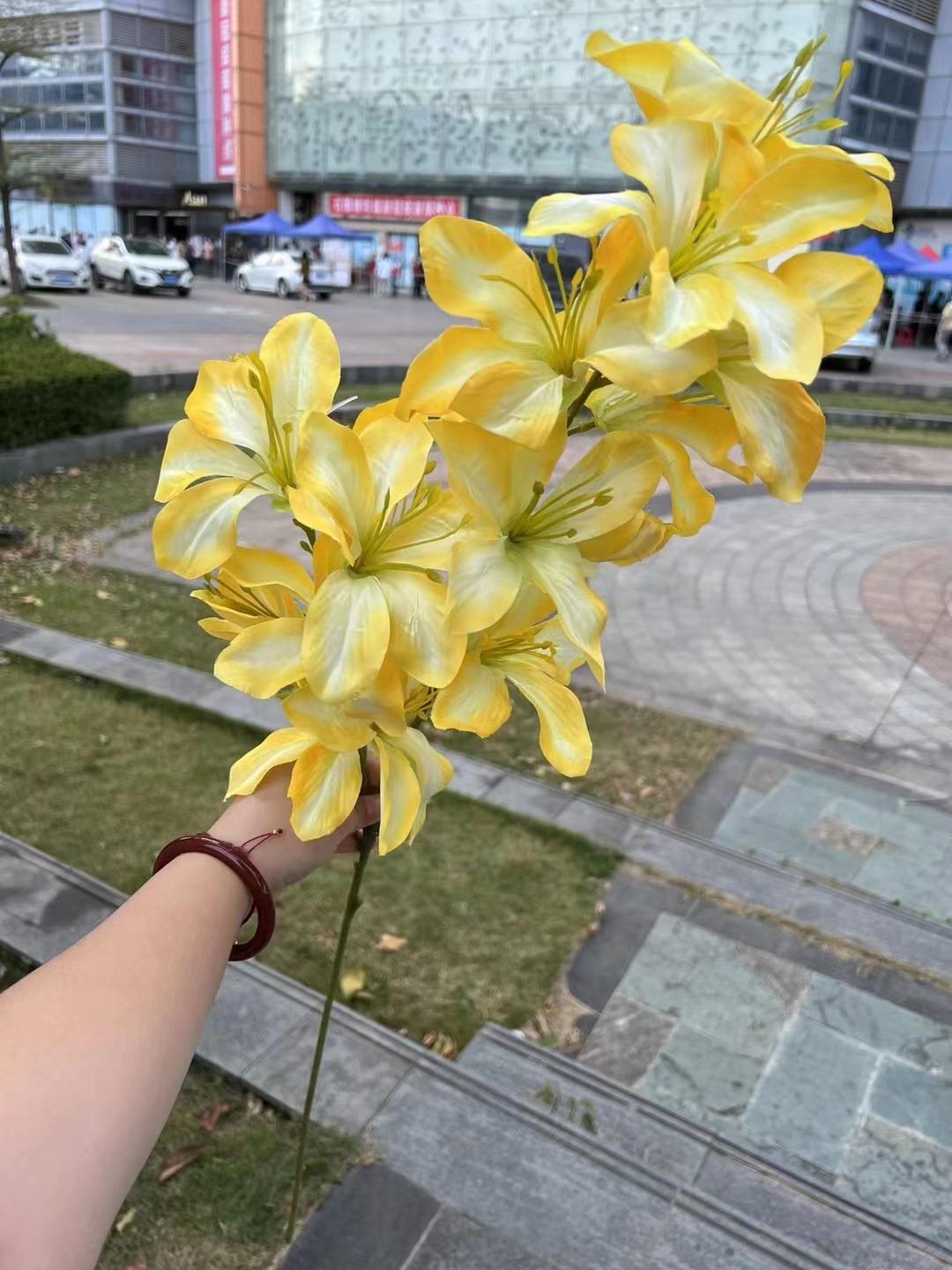 微信图片_20230613175054