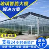 Estructura de Invernadero de Vidrio, Invernadero para Verduras y Flores, Estructura de Vidrio Agrícola, Invernadero Inteligente, Visita el Invernadero de Vidrio