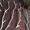 Ramas Secas Ramas Secas Decorativas Arte de Flores Secas Ramas Muertas Madera Muerta Árboles Naturales Peladas Ramas Naturales Colgante de Pared Perchero Adornos