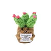 Planta Suculenta Cactus Tulipán Tejida a Crochet Muñeca Tejida Ramo de Flores Artificiales Decoración de Escritorio