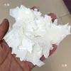 Fragmentos de Concha Branca Madre pérola, Lantejoulas de Concha Iridescentes, Joias DIY, Arte de Unhas, Decoração de Celular, Materiais de Incrustação