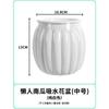 Maceta transparente con forma de calabaza resina engrosada nivel de agua visible maceta autocebante perezosa decoración de escritorio fábrica mayoreo