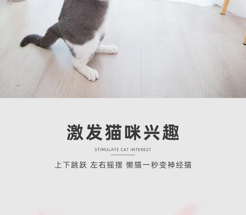 仙女逗猫棒3件套_11.jpg